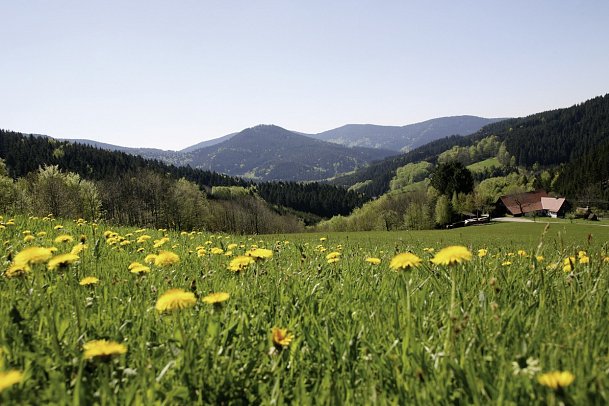 Häfner's Flair Hotel Adlerbad - Panorama Breitenberg