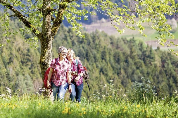 Häfner's Flair Hotel Adlerbad