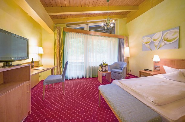 Ringhotel Mönchs Waldhotel - Wohnbeispiel Doppelzimmer Standard (Zimmercodierung DG1)