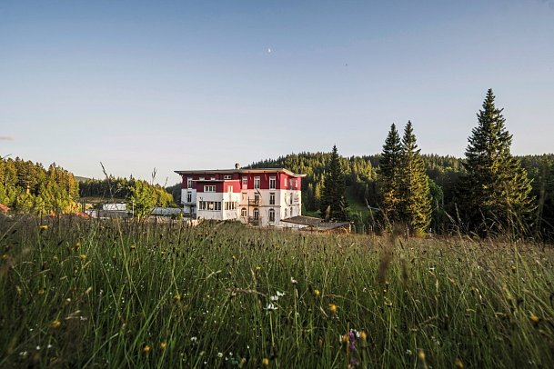 Waldhotel am Notschreipass