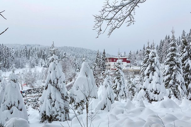 Waldhotel am Notschreipass