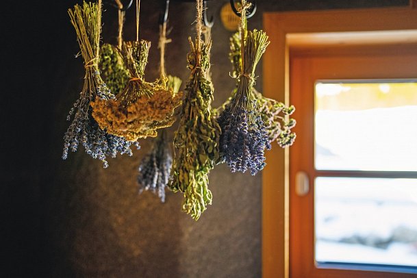 Waldhotel am Notschreipass