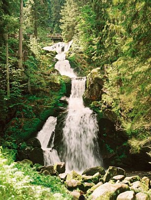 Best Western Plus Schwarzwald Residenz