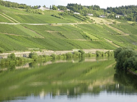 Mosel-Radweg - Der Klassiker