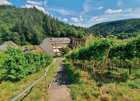 Steigenberger Hotel Bad Neuenahr