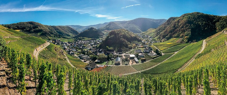 Steigenberger Hotel Bad Neuenahr