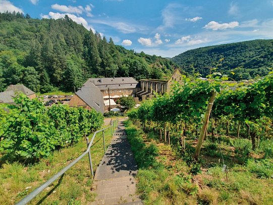 Steigenberger Hotel Bad Neuenahr