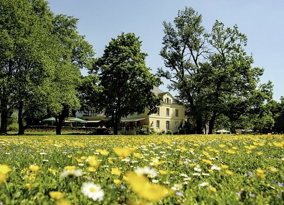 Nells Park Hotel