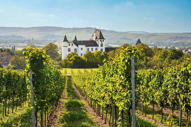 Victor's Residenz-Hotel Schloss Berg
