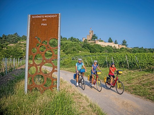 Pfälzer Weinsternfahrt - Radler mit Wachtenburg