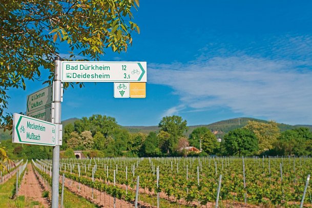 Pfälzer Weinsternfahrt