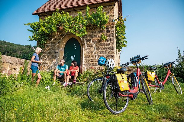 Pfälzer Weinsternfahrt