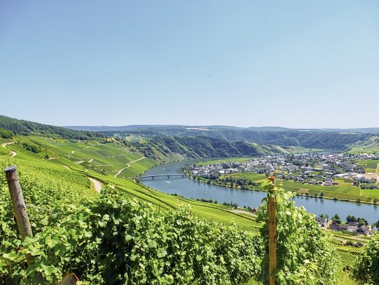 Mosel - Entspannter Klassiker