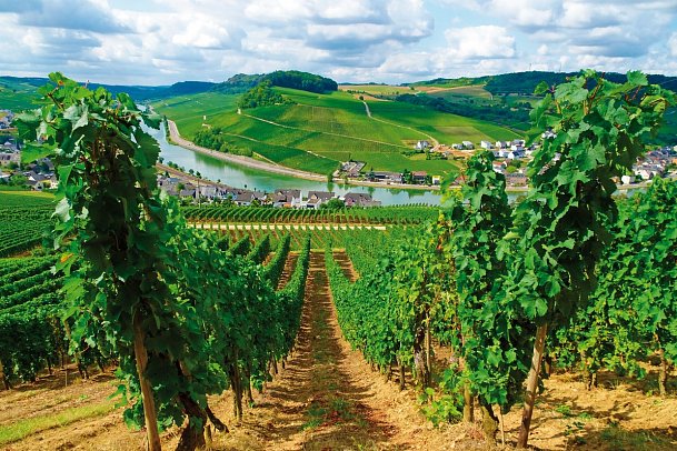 Best of Moselsteig