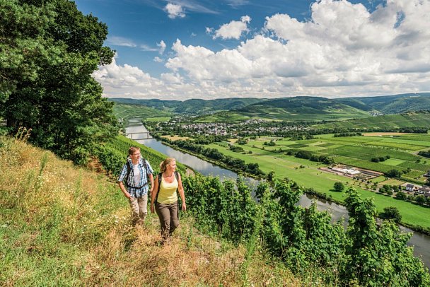 Best of Moselsteig - Moselsteig mit Blick auf Mosel