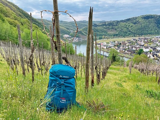 Best of Moselsteig - Weinberg Calmont