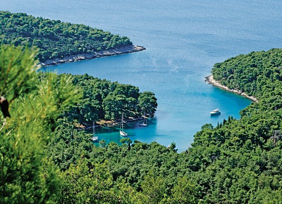 Inselhüpfen Kvarner Bucht - Insel Losinj