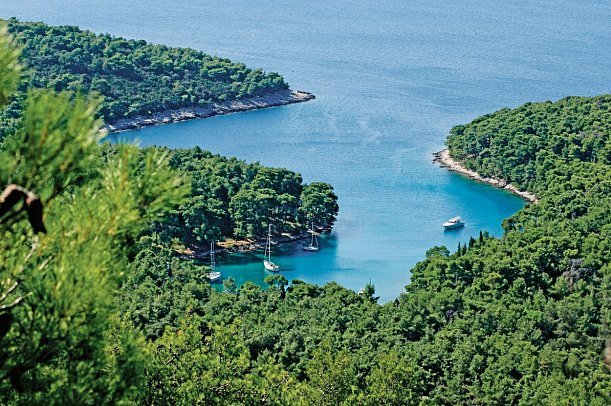 Inselhüpfen Kvarner Bucht - Insel Losinj