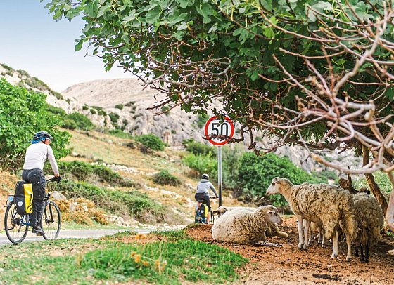 Inselhüpfen Kvarner Bucht