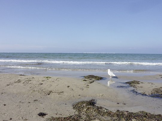 Park-Hotel Hübner - Nähere Umgebung_Strand