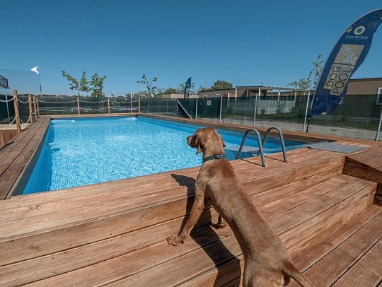 Sentido Riccione Premium Camp