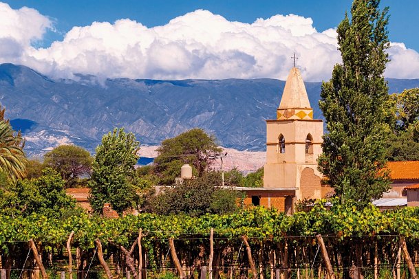 Südamerika: Zwischen Wüste, Wein & Wasserfällen - Cafayate-Tal