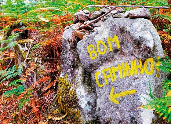 Wandern auf dem Jakobsweg – Die portugiesische Route an der Küste intensiv