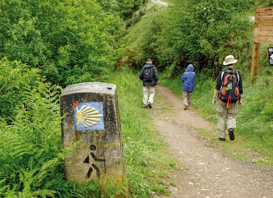 Wandern auf dem Jakobsweg – Die portugiesische Route an der Küste intensiv - Auf dem Jakobsweg
