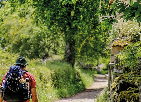 Wandern auf dem Jakobsweg – Die portugiesische Route an der Küste intensiv