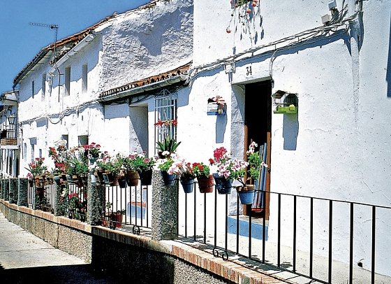 Wandern auf dem Jakobsweg – Die portugiesische Route an der Küste intensiv