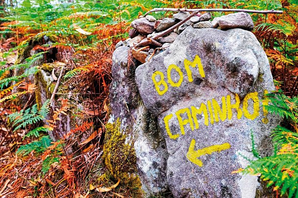 Wandern auf dem Jakobsweg – Die portugiesische Route an der Küste intensiv