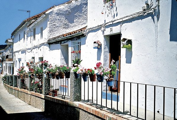 Wandern auf dem Jakobsweg – Die portugiesische Route an der Küste intensiv