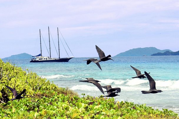 Segeltörn durchs Paradies - S.Y. Sea Star/S.Y. Sea Bird - SY Sea Star