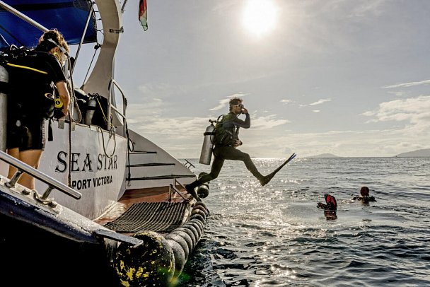Segeltörn durchs Paradies - S.Y. Sea Star/S.Y. Sea Bird - SY Sea Star, Tauchplattform