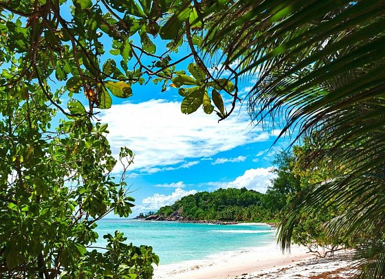 The Islander Hotel