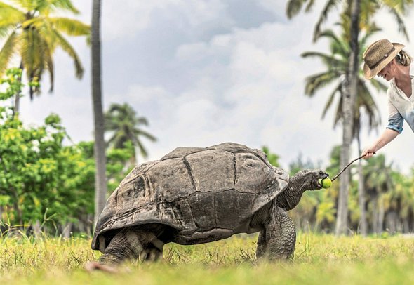 Four Seasons Resort Seychelles at Desroches Island