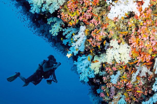 Four Seasons Resort Seychelles at Desroches Island