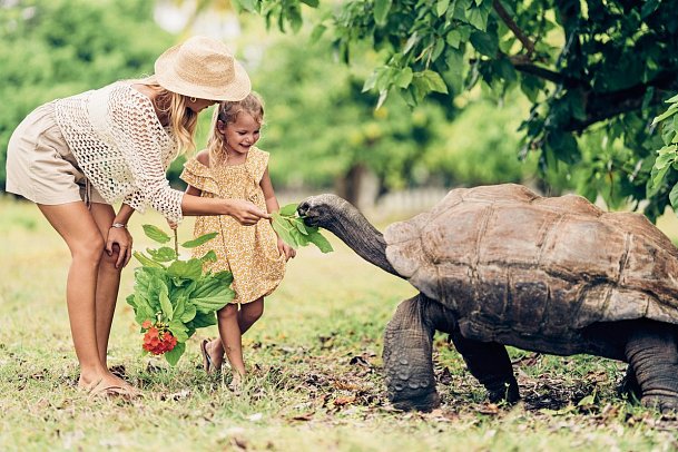 Four Seasons Resort Seychelles at Desroches Island