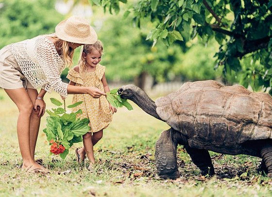 Four Seasons Resort Seychelles at Desroches Island