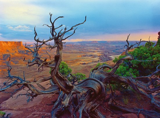 Im aufregenden Westen (21 Nächte) - Canyonlands Nationalpark