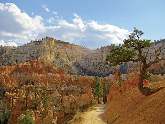 Nationalparks des Westens erwandern (ab San Francisco) - Bryce Canyon Nationalpark