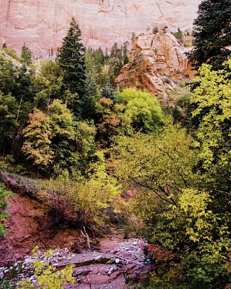 Nationalparks des Westens erwandern (ab San Francisco) - Zion Nationalpark