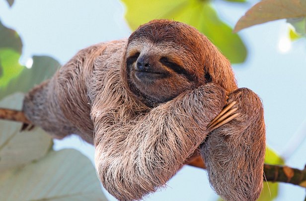 Costa Rica für kleine Entdecker