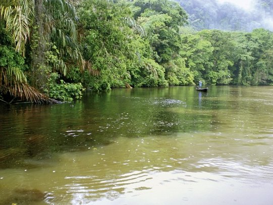 Geheimnisvolles Costa Rica: Vulkane und Regenwald - Tortuguero Nationalpark