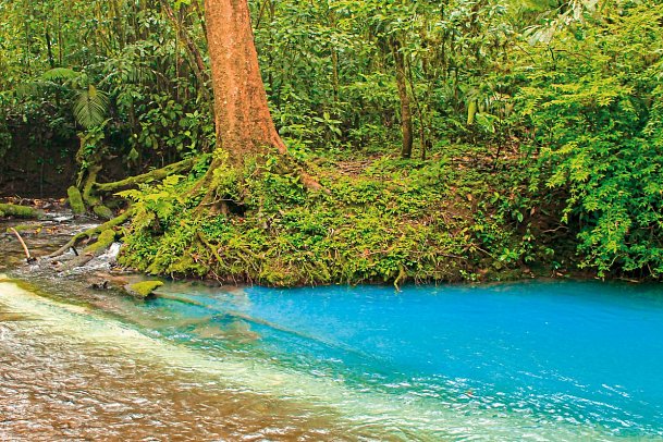 Highlights des Nordens (8 Nächte) - Río Celeste