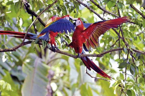 Costa Rica - Fernab der Pfade