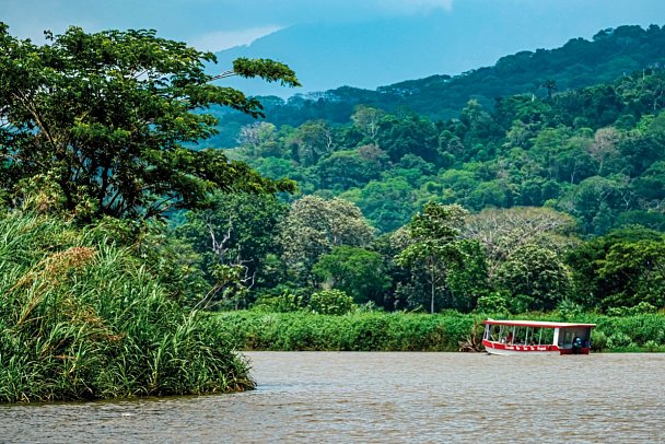 Costa Rica - Fernab der Pfade - Carara Nationalpark