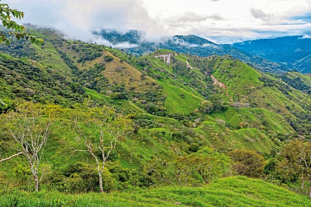 Costa Rica - Fernab der Pfade - Los Quetzales Nationalpark
