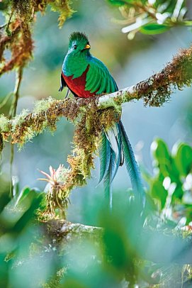 Costa Rica - Fernab der Pfade