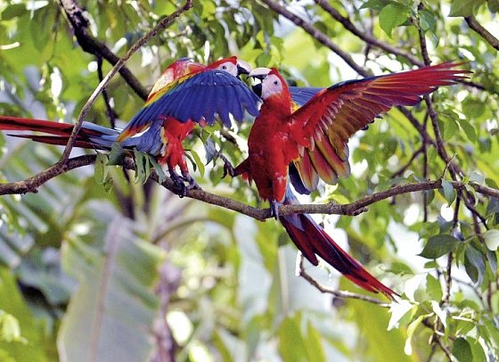Costa Rica - Fernab der Pfade